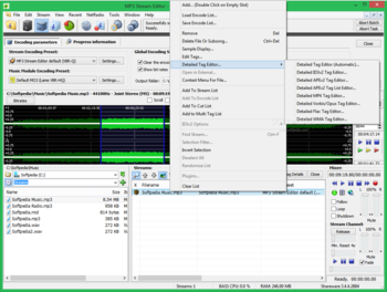 MP3 Stream Editor screenshot 3