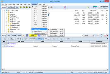 MP3 Tag Clinic screenshot 11