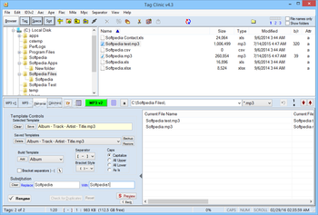 MP3 Tag Clinic screenshot 3