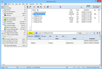 MP3 Tag Clinic screenshot 7