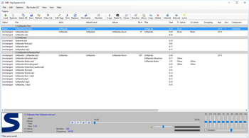 MP3 Tag Express screenshot