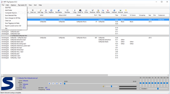 MP3 Tag Express screenshot 19