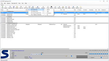 MP3 Tag Express screenshot 3