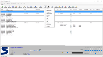 MP3 Tag Express screenshot 7