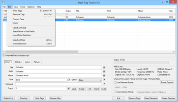 Mp3 Tag Tools screenshot 4