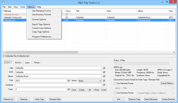 Mp3 Tag Tools screenshot 6