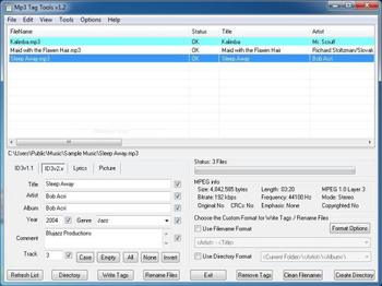 Mp3 Tag Tools screenshot 2