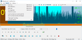 mp3DirectCut screenshot 4