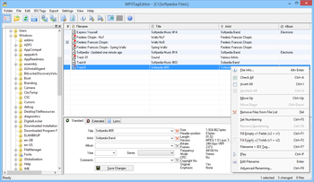 MP3TagEditor screenshot