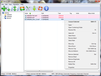 MP4 to MP3 Converter screenshot