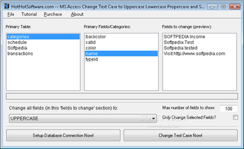 MS Access Change Text Case to Uppercase Lowercase Propercase and Sentence Case screenshot