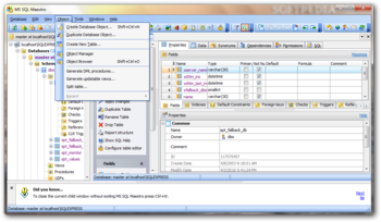 MS SQL Maestro screenshot 4