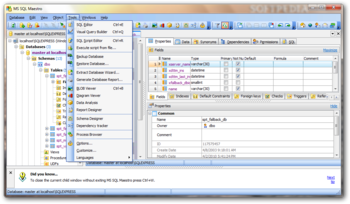 MS SQL Maestro screenshot 5