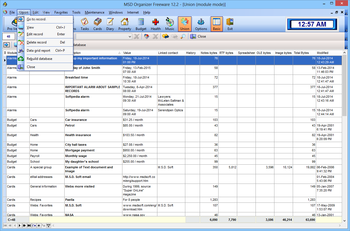 MSD Organizer Freeware screenshot 16