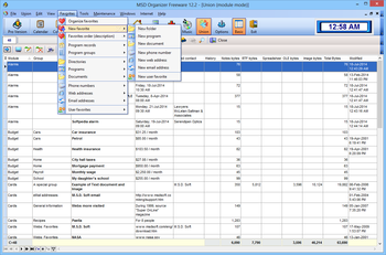 MSD Organizer Freeware screenshot 18