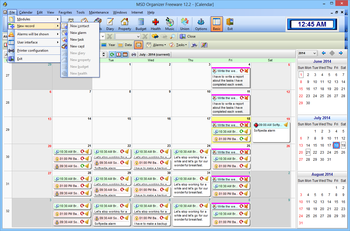 MSD Organizer Freeware screenshot 2