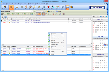 MSD Organizer Freeware screenshot 7