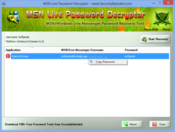 MSN Live Password Decryptor Portable screenshot