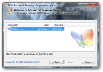 MSN Password Recovery screenshot