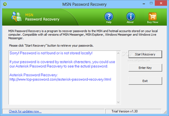 MSN Password Recovery screenshot
