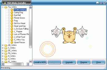 MSN Winks Installer screenshot