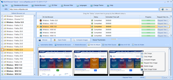 Multi-Browser Viewer screenshot 3