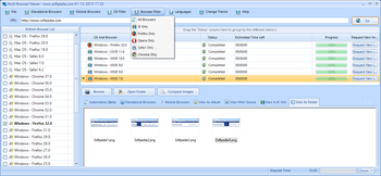 Multi-Browser Viewer screenshot 7