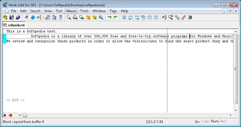 Multi-Edit Lite for SAS 2008 screenshot