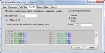 Multi File Directory Renamer screenshot 3