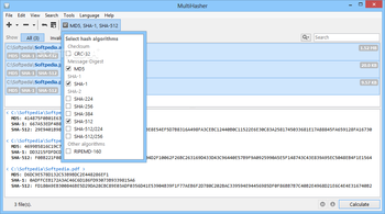 MultiHasher screenshot 2