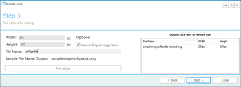 Multiple Sizer screenshot 2