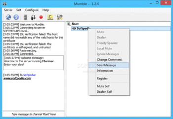 Mumble screenshot 2
