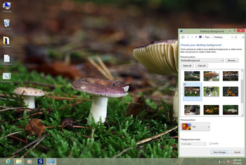 Mushrooms Theme screenshot