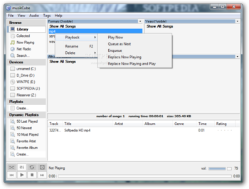 musikCube screenshot 2
