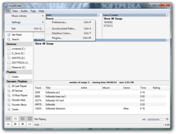 musikCube screenshot 3