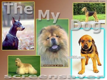 My Dog Screensaver screenshot 2