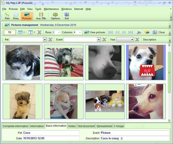 My Pets Freeware Portable screenshot 3