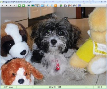 My Pets Freeware Portable screenshot 4