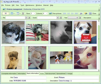 My Pets Freeware Portable screenshot 6