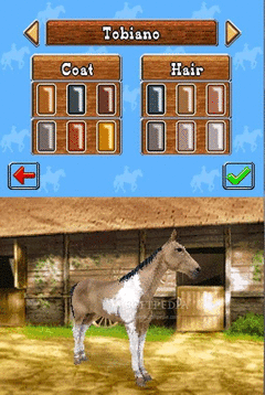 My Western Horse screenshot
