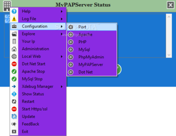 MyPAPServer screenshot 3