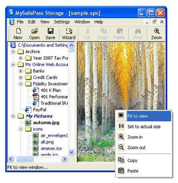 MySafePass Storage screenshot 2