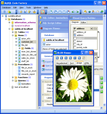 MySQL Code Factory screenshot 2