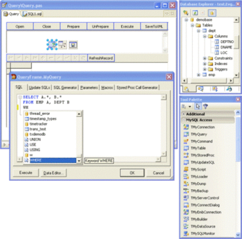 MySQL Data Access Components for Delphi, C++Builder, and RAD Studio 2007 screenshot