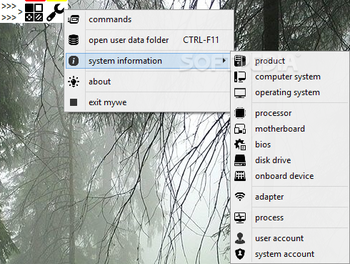 Mywe Desktop Manager screenshot 7