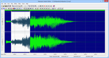 Naturpic Audio Editor screenshot