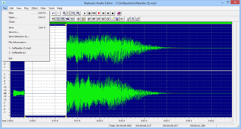 Naturpic Audio Editor screenshot 11