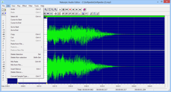 Naturpic Audio Editor screenshot 12