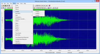 Naturpic Audio Editor screenshot 15