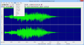 Naturpic Audio Editor screenshot 16